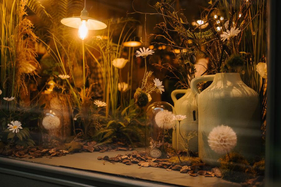 Escaparate cúpula Detalle de escaparate con cúpula de diente de león. Flor de Sauco. Floristería Ponferrada