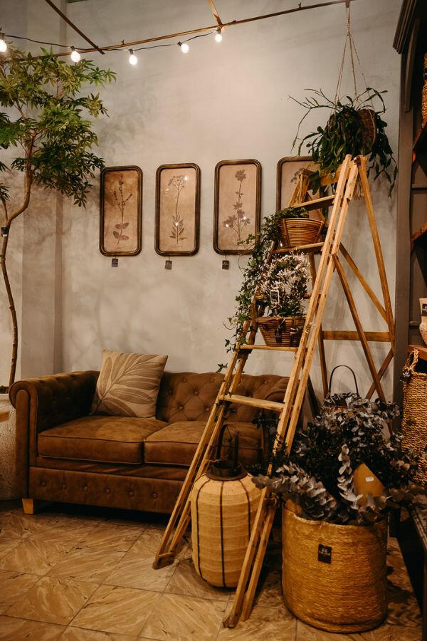 Chester Esquina chester. Floristería Flor de Sauco - Ponferrada