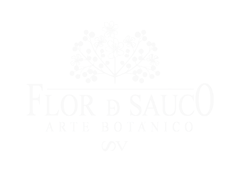 logo flor de sauco letrero Logo Flor de Sauco - Floristería Ponferrada